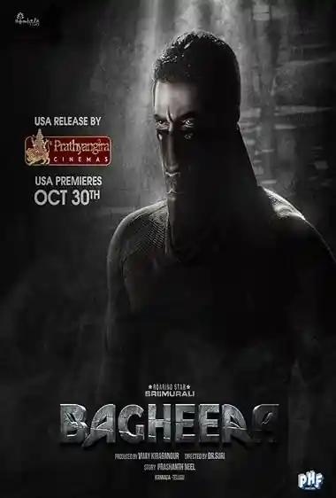 Bagheera (2024) Movie Poster