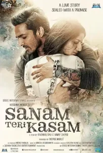 Sanam Teri Kasam (2016)